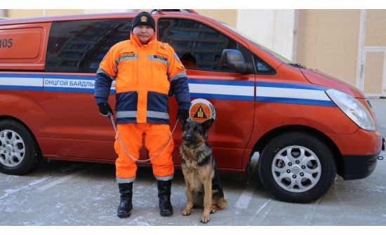 125 хүний амийг аварсан нохой тэтгэвэртээ гарч хөдөө "суурьшив"