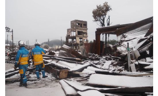 Япон: Таван өдрийн дараа нуранги дороос 90 настай эмэгтэйг оллоо