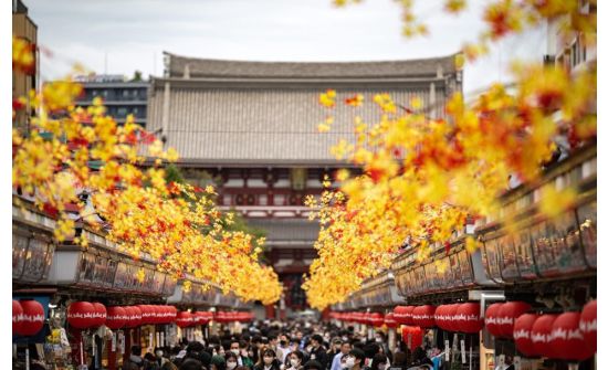 Япон улсад аялах жуулчдын тоо 10 дахин нэмэгджээ    