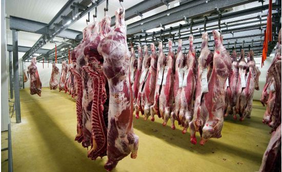 Хоёр сарын хугацаанд 15.6 мянган тонн мах экспортод гаргажээ