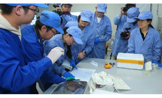 “Shenzhou 16” хөлгийн багийнхан сансрын станцаас юу авчрав?