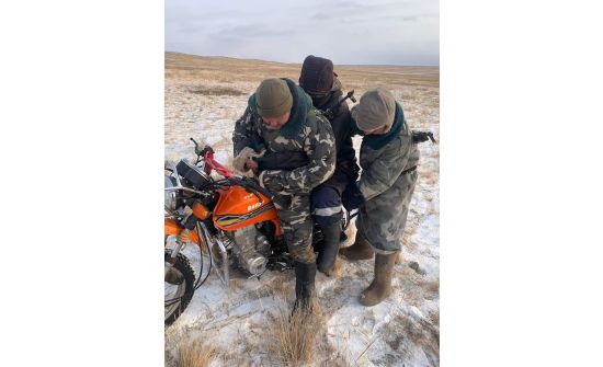 Монголын хилчид хүний амь аварлаа