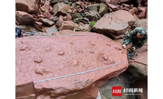 Хятад: 10 настай хүү Цэрдийн галавын үеийн үлэг гүрвэлийн мөр олжээ