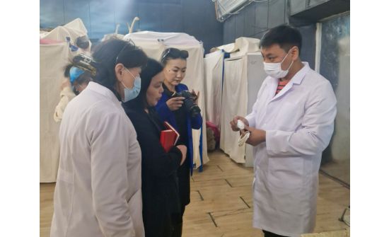 Байгалийн түүхийн музейн ажилчдад үзмэрийн хадгалалт, хамгаалалтын сургалт оров