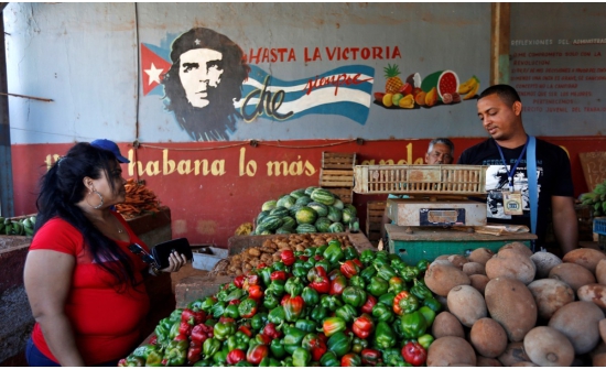 Куба улсын эдийн засгийн өсөлтөд хувийн бизнес голлох үүрэг гүйцэтгэж байна