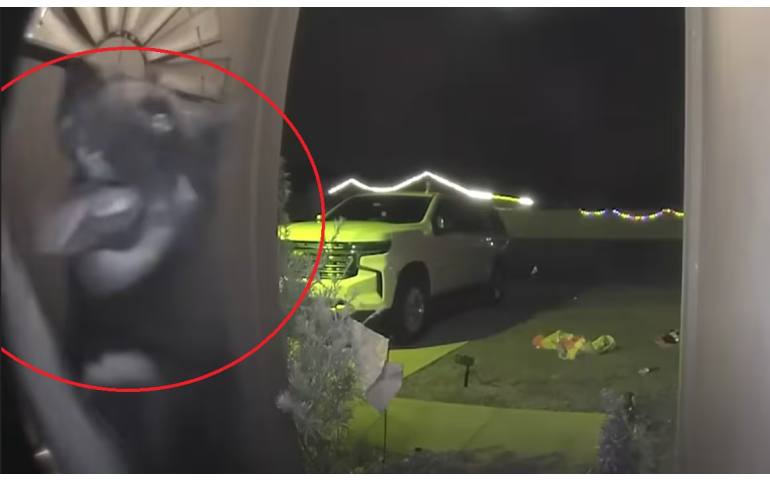 АНУ: Гэрээсээ төөрсөн нохой эргэж ирээд хаалганыхаа хонхыг даржээ